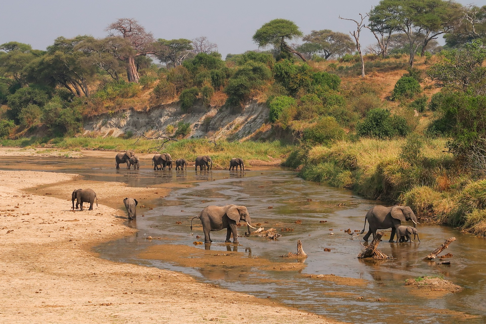 5 Days Tarangire Serengeti Ngorongoro Safari