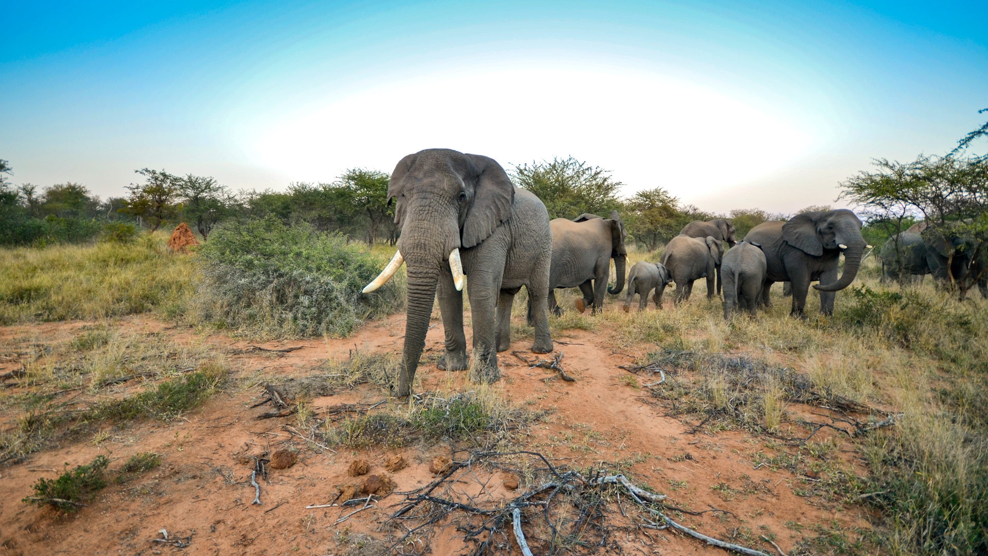 12 Days Luxury Escapade Kenya Safari