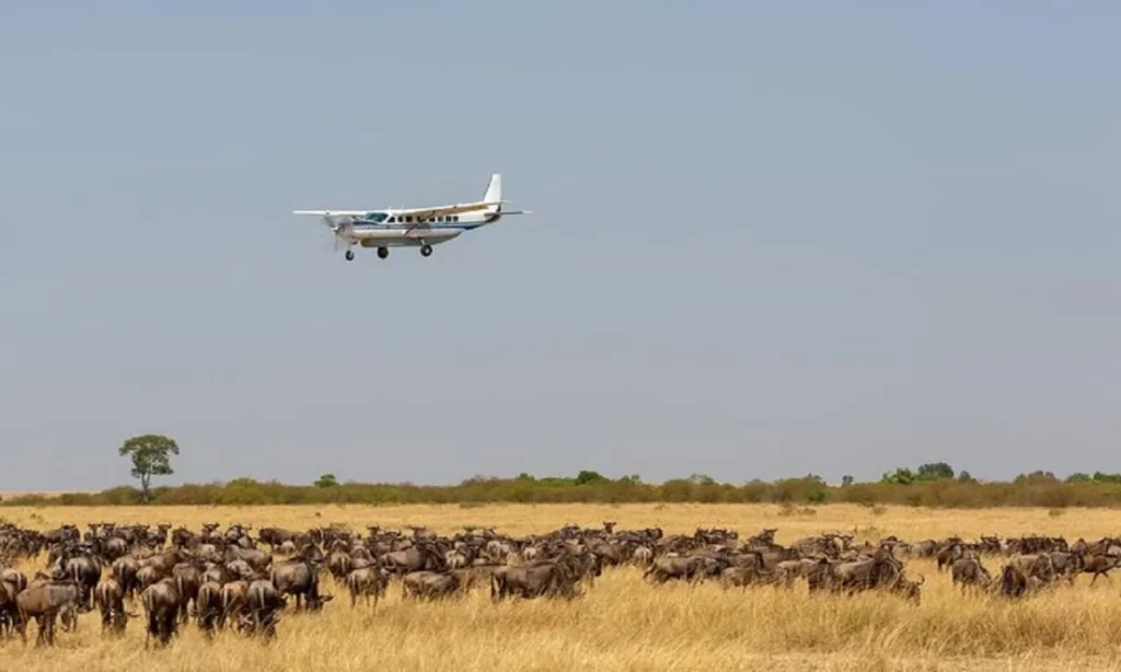 14 Days Scenic Flying Kenya Tanzania and Zanzibar