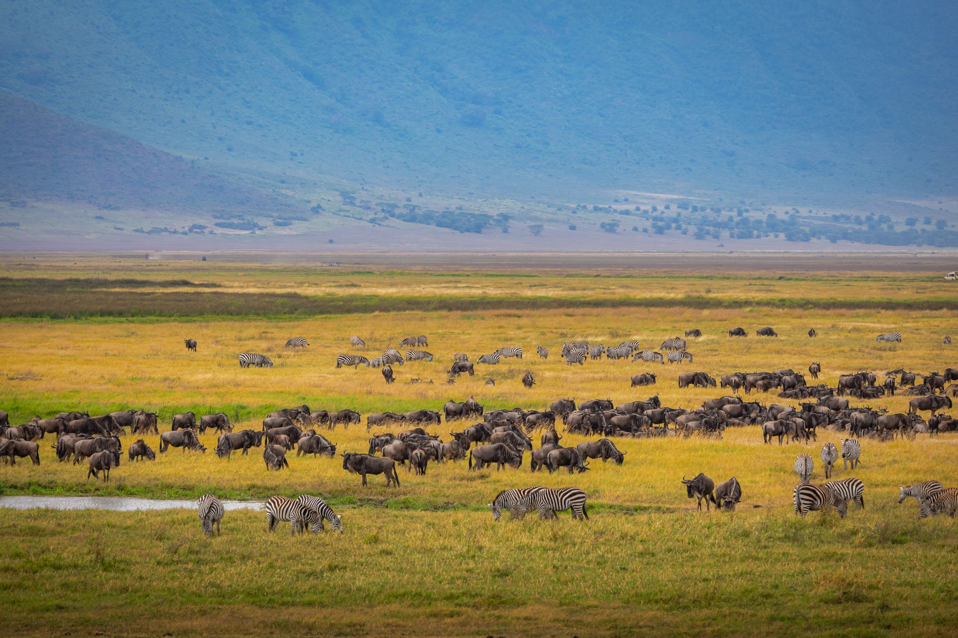 7 Days Best of Tanzania Safari