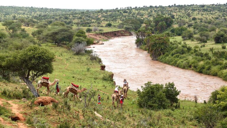 Private Conservancy Safaris in Kenya and Tanzania
