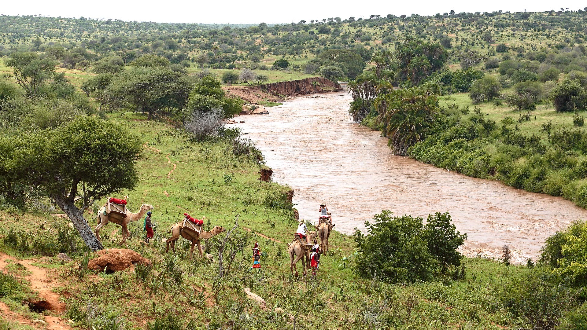 Private Conservancy Safaris in Kenya and Tanzania